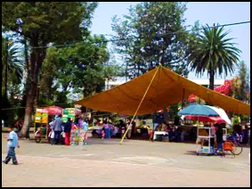 Megaofrenda UNAM 2008